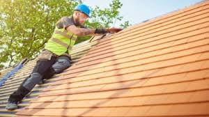 Best Cold Roofs  in Dillon, MT