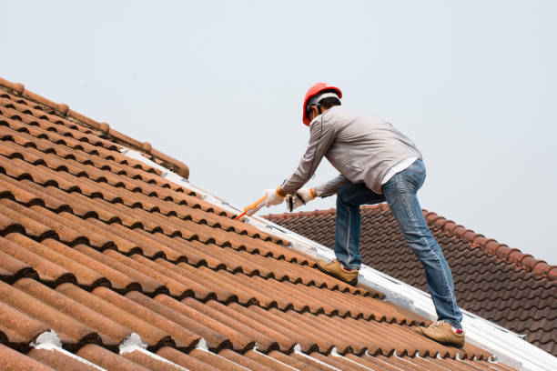 Best Tile Roofing Installation  in Dillon, MT