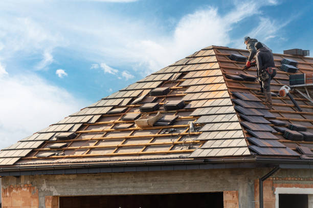 Best Commercial Roofing Services  in Dillon, MT