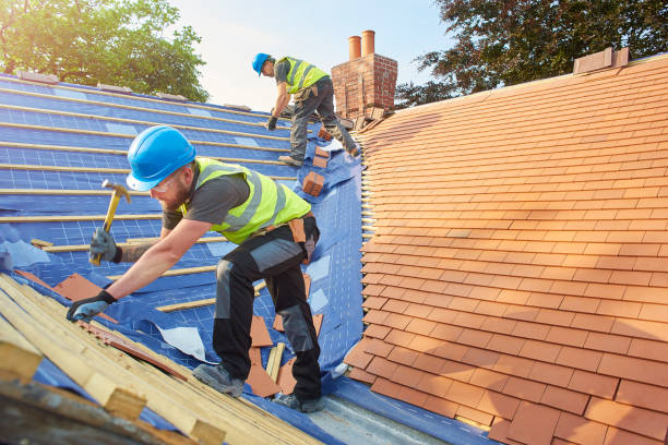 Best Hot Roofs  in Dillon, MT
